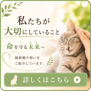 私たちが大切にしていること