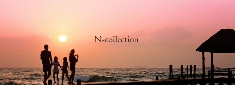 株式会社N-collection